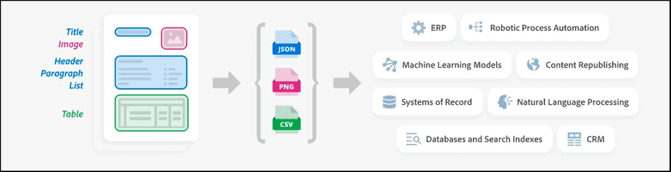 document extraction4